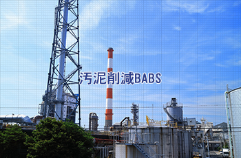 汚泥削減BABS(Bacillus Anaerobic Bio System)